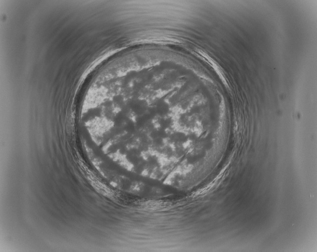 X0000085780779200704131828