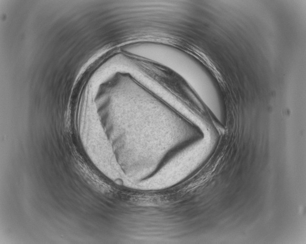 X0000085780780200704131828