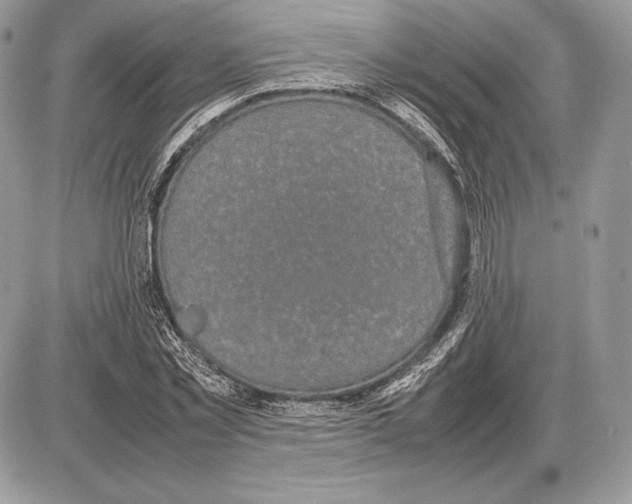 X0000085780781200704131828