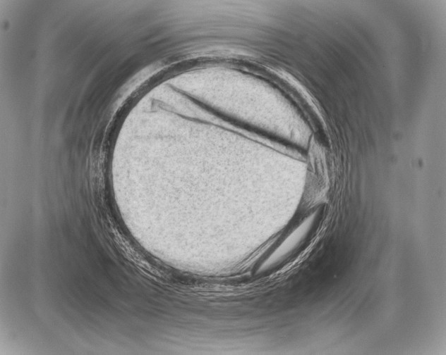 X0000085780783200704131828