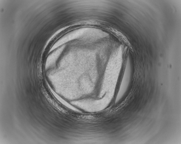 X0000085780784200704131828