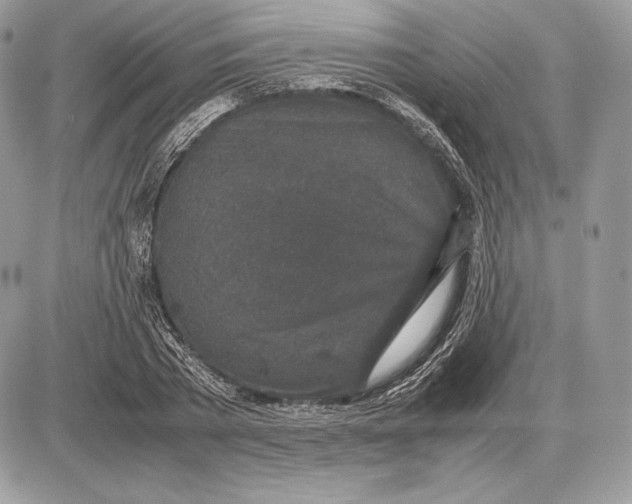 X0000085780785200704131828