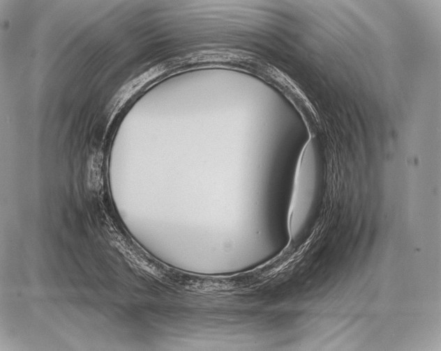 X0000085780786200704131828