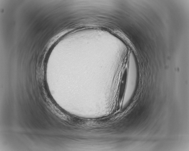 X0000085780787200704131828