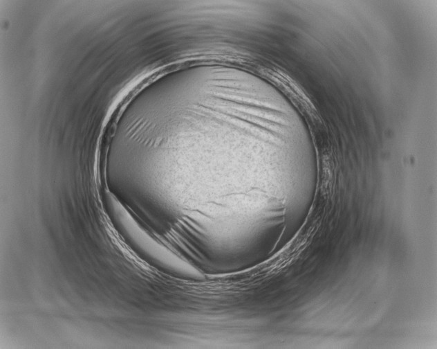 X0000085780788200704131828