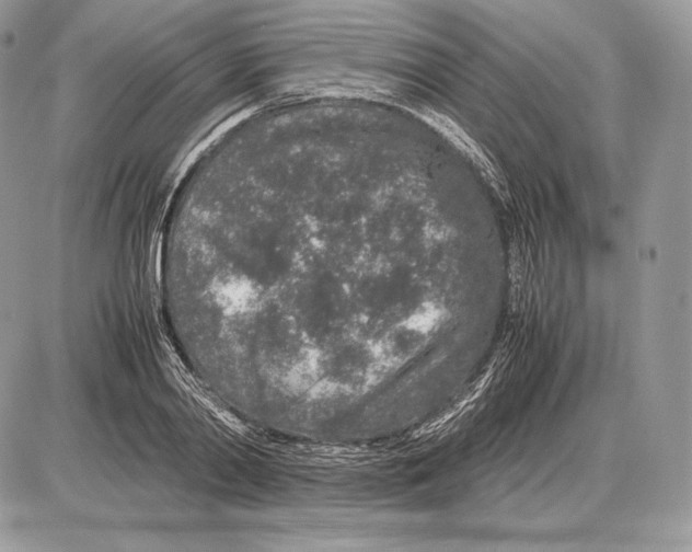 X0000085780790200704131828