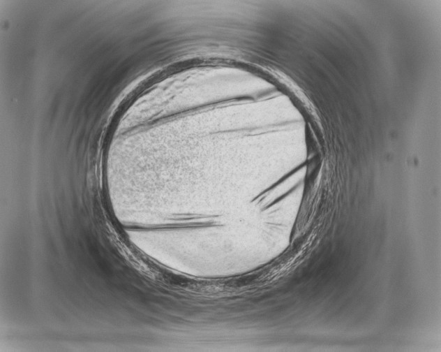 X0000085780791200704131828