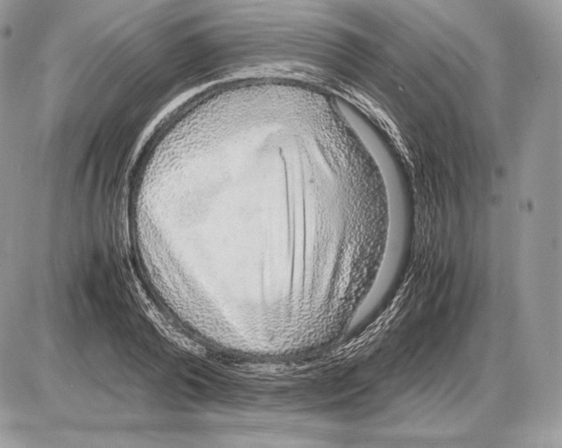 X0000085780792200704131828