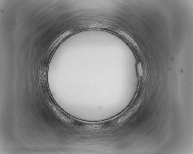 X0000085780793200704131828