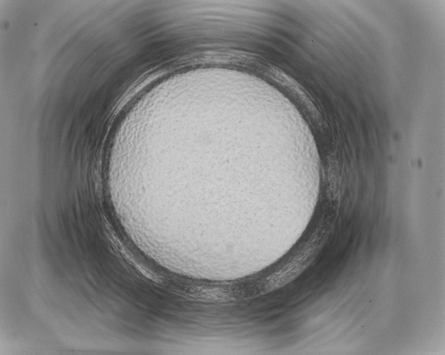 X0000085780794200704131828