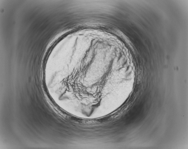 X0000085780795200704131828