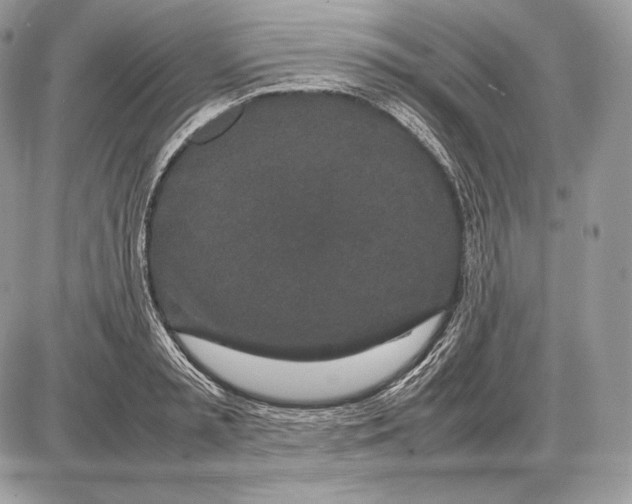 X0000085780797200704131827