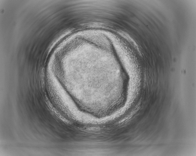 X0000085780798200704131827