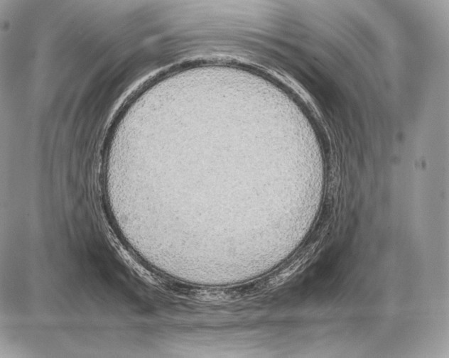 X0000085780799200704131827