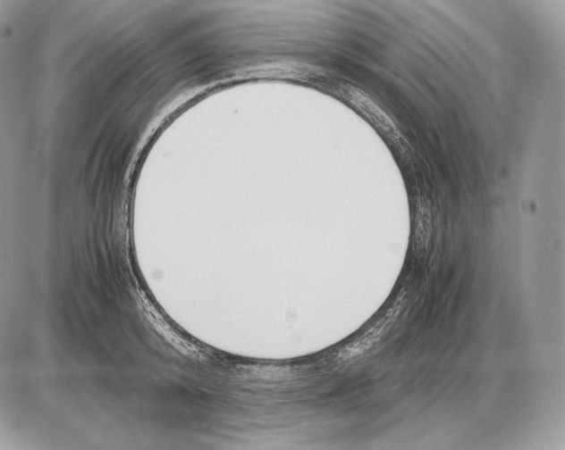 X0000085780800200704131827