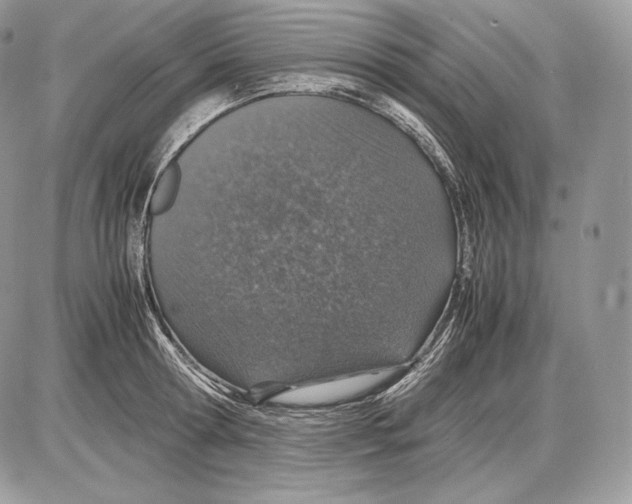 X0000085780802200704131827