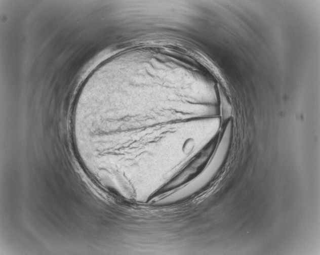 X0000085780803200704131827