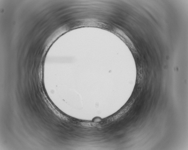 X0000085780804200704131827