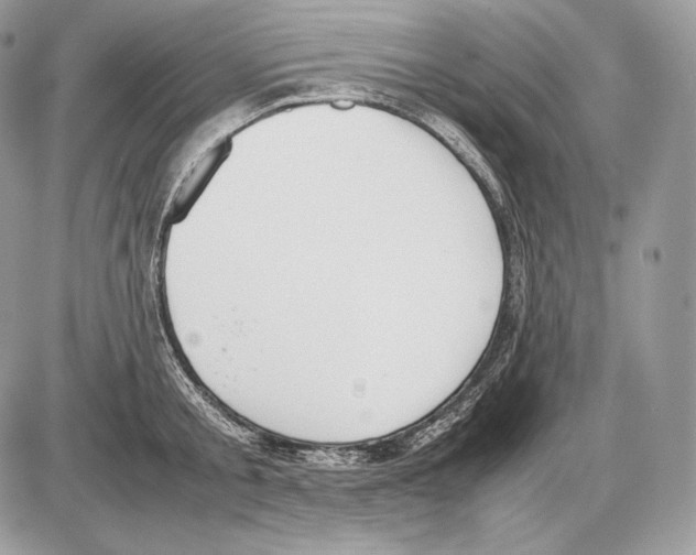 X0000085780805200704131827