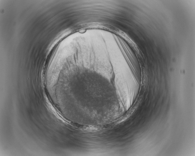 X0000085780806200704131827