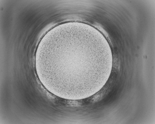 X0000085780807200704131827