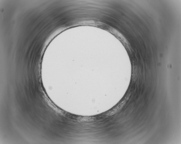 X0000085780808200704131827