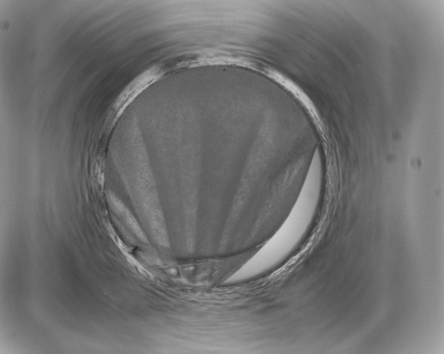 X0000085780809200704131827