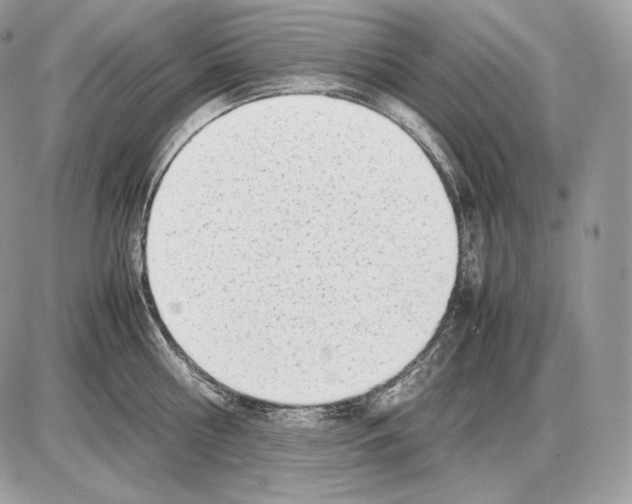 X0000085780810200704131827