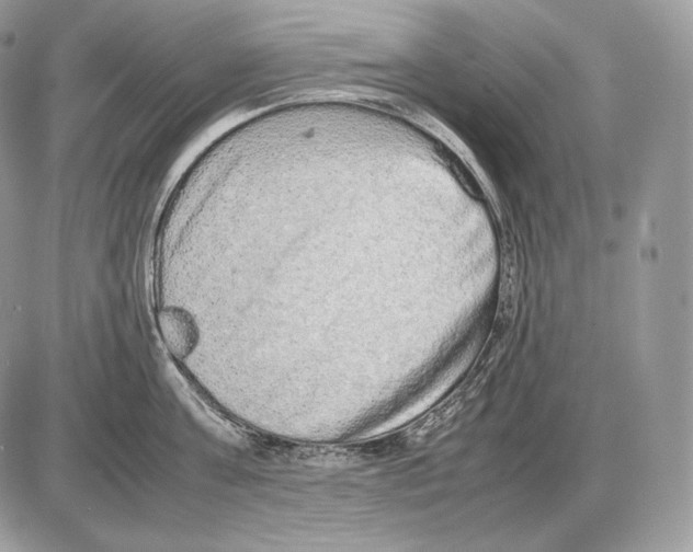 X0000085780811200704131827