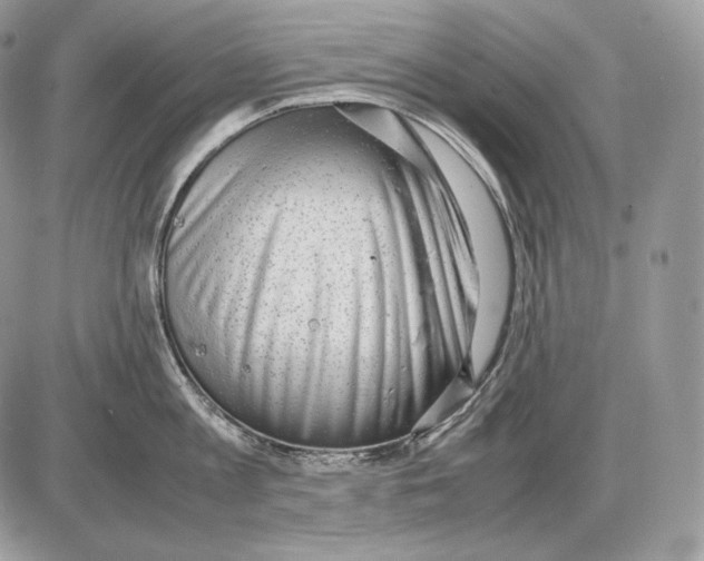 X0000085780813200704131827