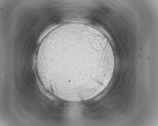 X0000085780814200704131827