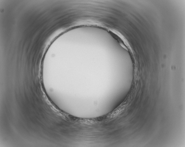 X0000085780815200704131827