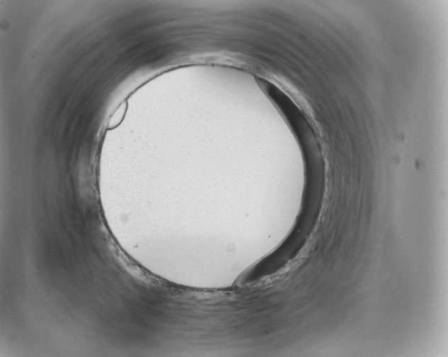 X0000085780816200704131827