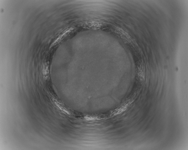 X0000085780818200704131826