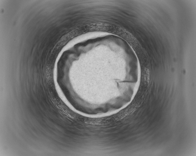 X0000085780819200704131826