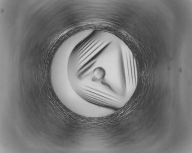 X0000085780822200704131826