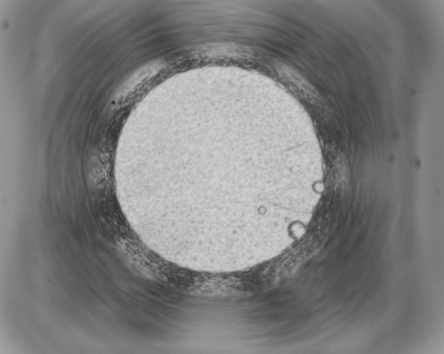 X0000085780824200704131826