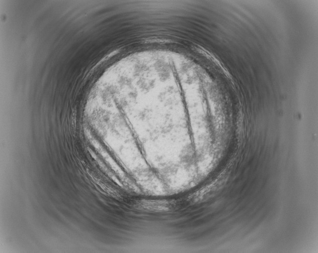 X0000085780825200704131827