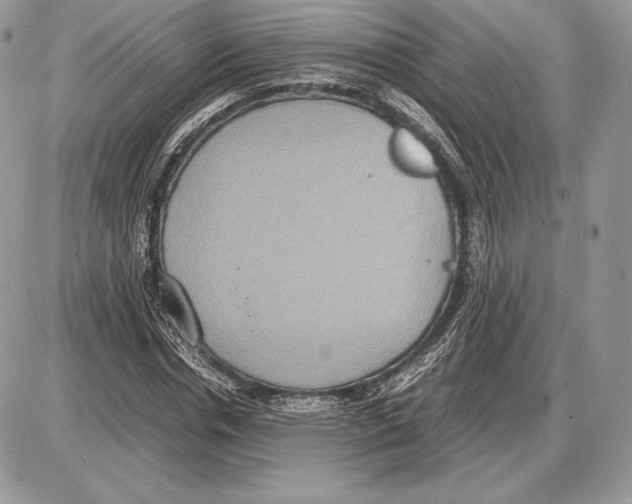 X0000085780826200704131827