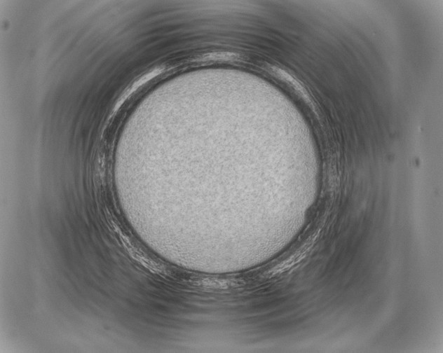 X0000085780827200704131827