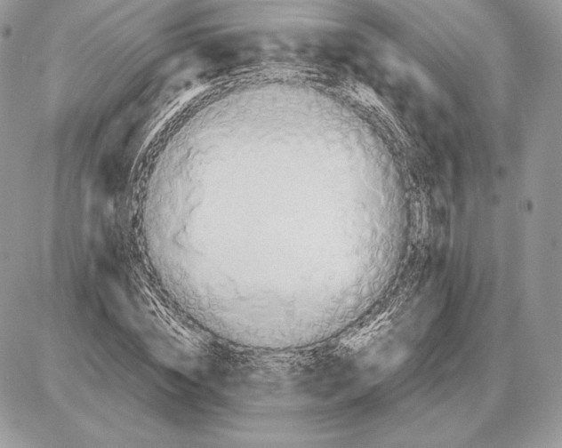 X0000085780828200704131827