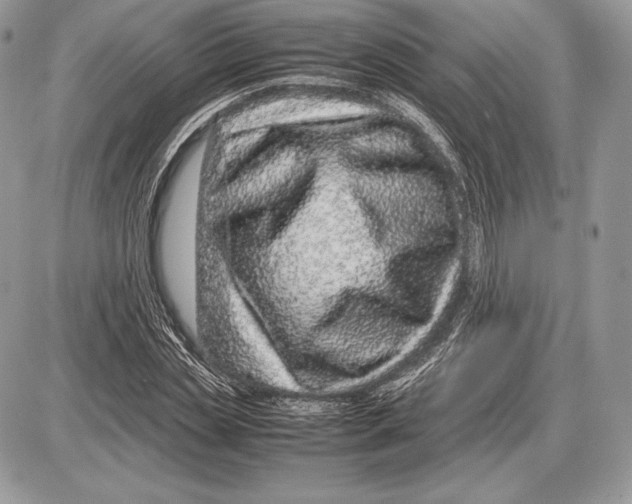 X0000085780829200704131827