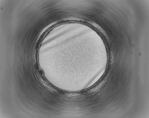 X0000085780830200704131827