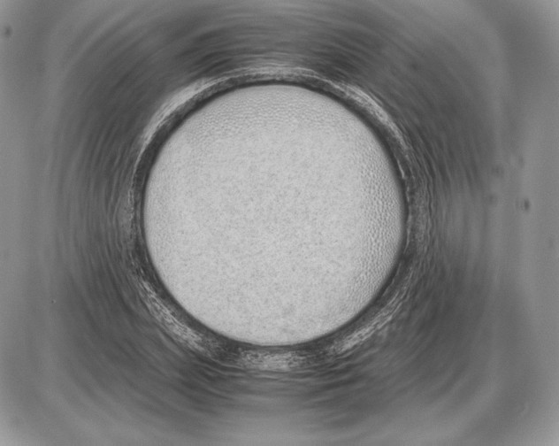 X0000085780831200704131827