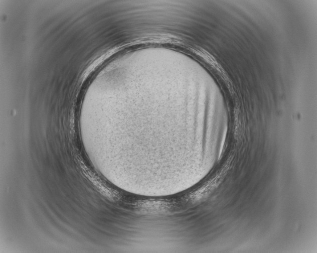 X0000085780834200704131827