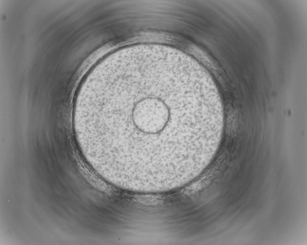 X0000085780836200704131827