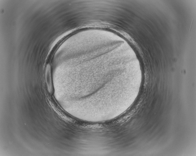 X0000085780838200704131827