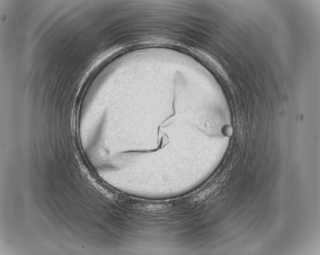 X0000085780839200704131827