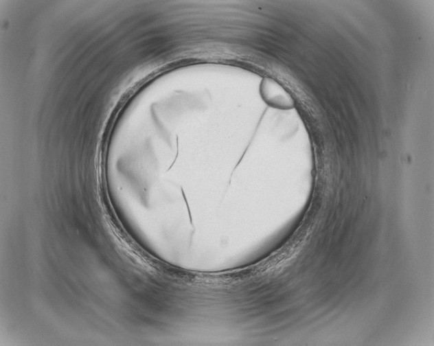 X0000085780840200704131827