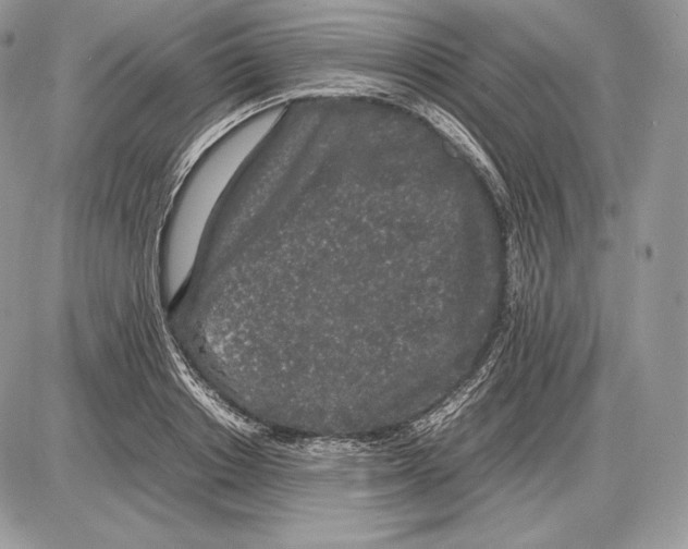 X0000085780842200704131827